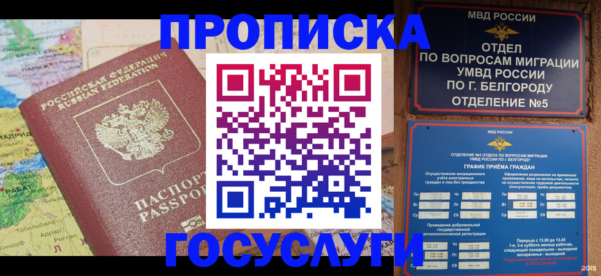 прописка регистрация в Барыше